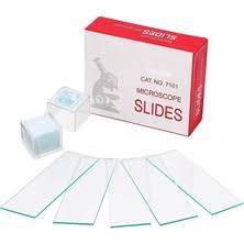 Buzlu Cam Mikroskop Lamı - 2