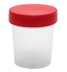 Kaşıksız Gaita Kabı